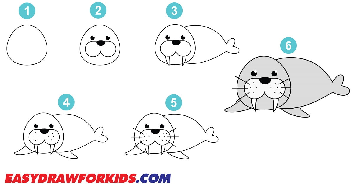 How To Draw A Seal