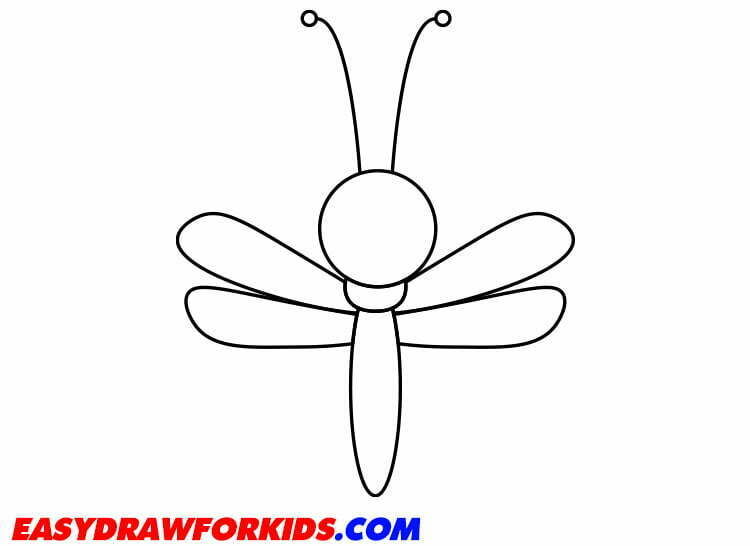 How to Draw Dragonfly step 4