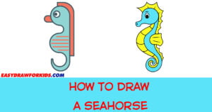 How to Draw a Seahorse