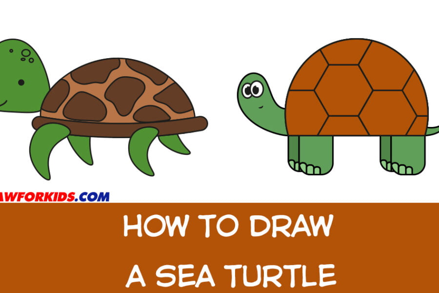 How To Draw A Polar Bear - Easy Draw For Kids