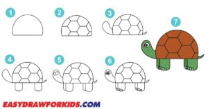 How To Draw A Turtle – 6 Ways (With Pictures)