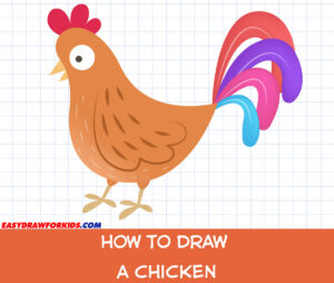 how to draw a chicken