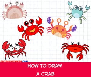 how to draw a crab