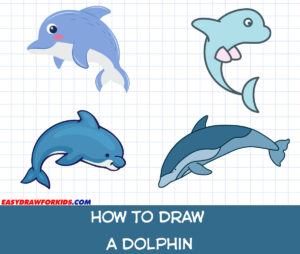 how to draw a dolphin