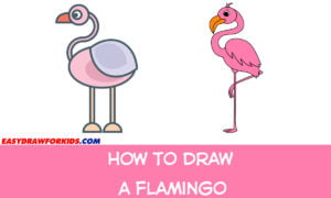 how to draw a flamingo