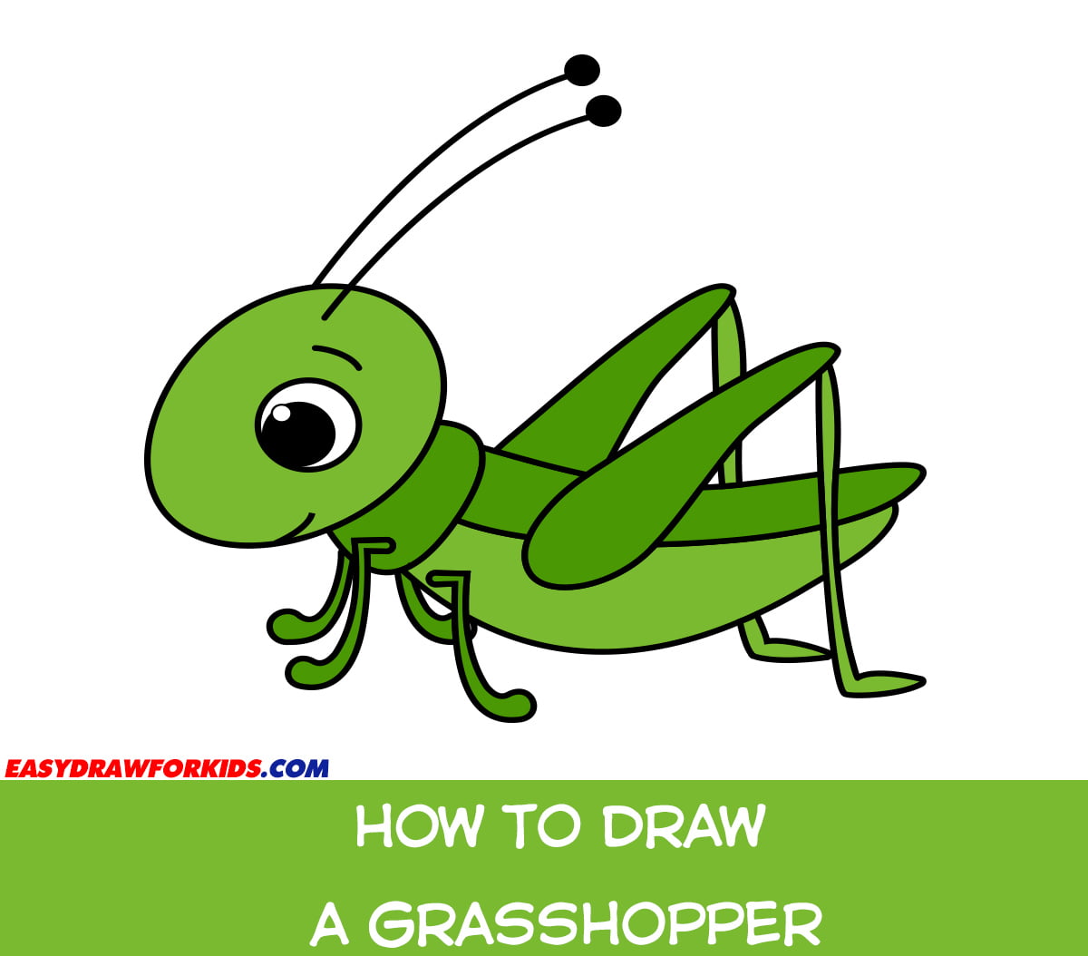 How To Draw A Grasshopper - Easy Draw For Kids