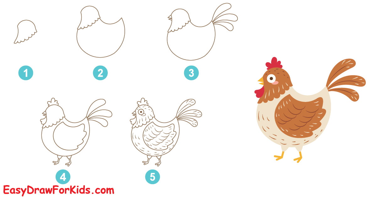 How To Draw A Chicken – 5 Ways (With Pictures)