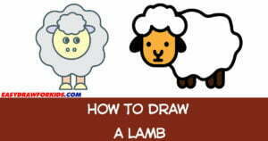 how to draw a lamb