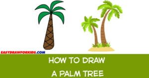 how to draw a palm tree