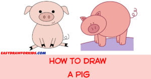 how to draw a pig