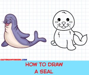 how to draw a seal