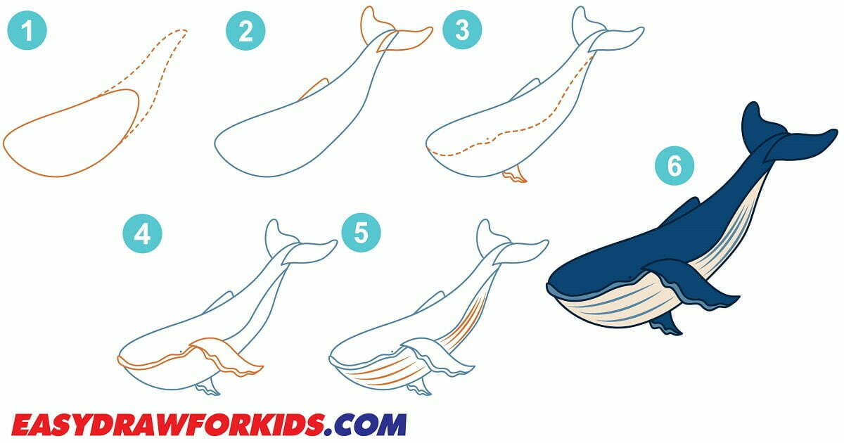 How To Draw A Whale | Easy Draw For Kids