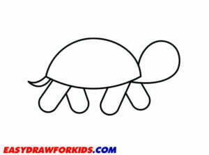 How To Draw A Turtle – 6 Ways (With Pictures)