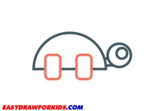How To Draw A Turtle – 6 Ways (With Pictures)