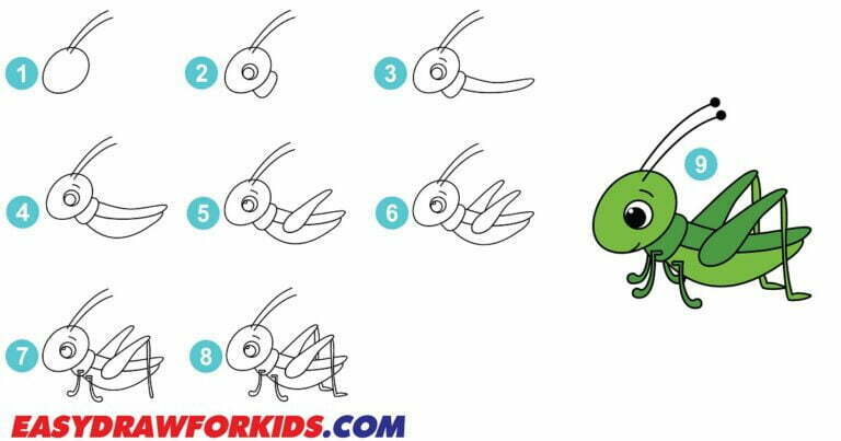 How To Draw A Grasshopper – 2 Easy Ways Grasshopper Drawing