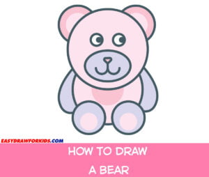how to draw a bear