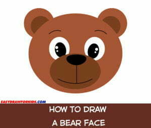 how to draw a bear face