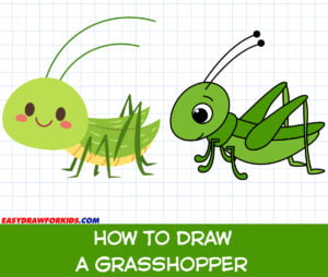 how to draw a grasshopper