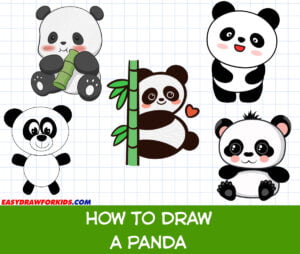 how to draw a panda