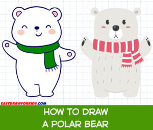how to draw a polar bear