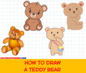 how to draw a teddy bear