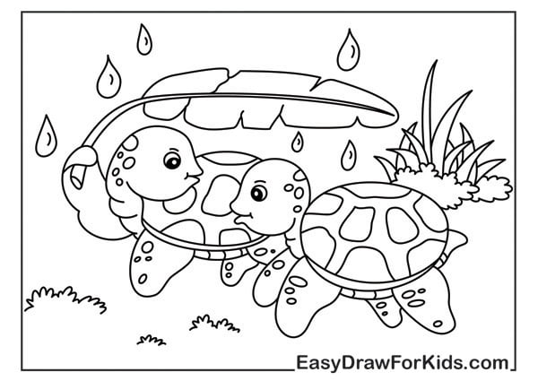 turtle to colour