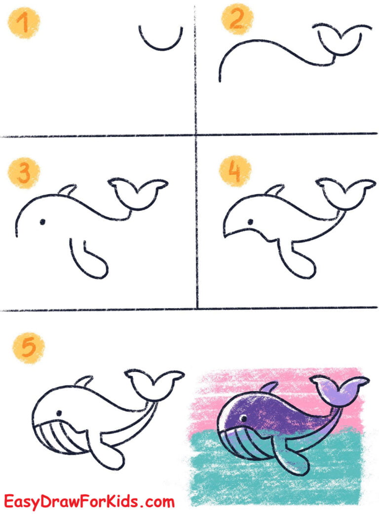 How To Draw A Whale 7 Ways (With Pictures)