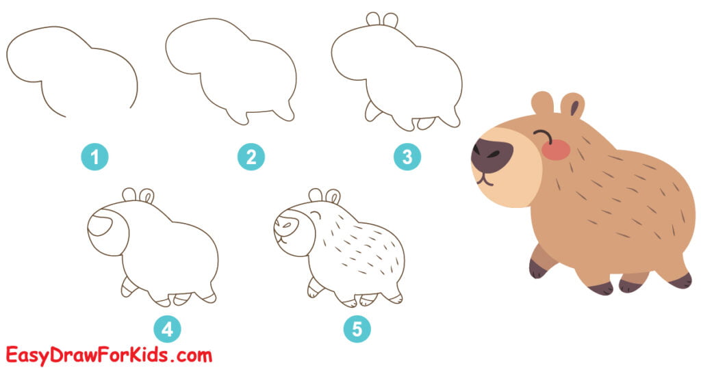 How to draw CAPYBARA step by step, VERY EASY and fast 