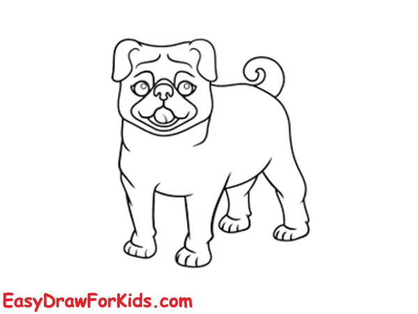 How To Draw A Pug - 2 Ways (With Pictures)