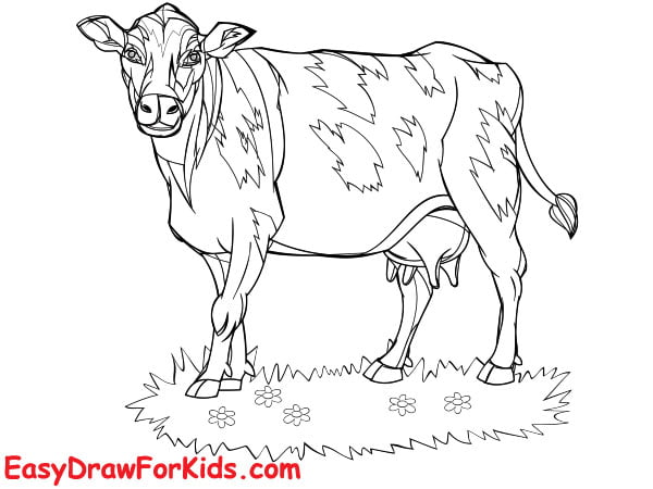 How To Draw A Cow - 7 Ways (With Pictures)