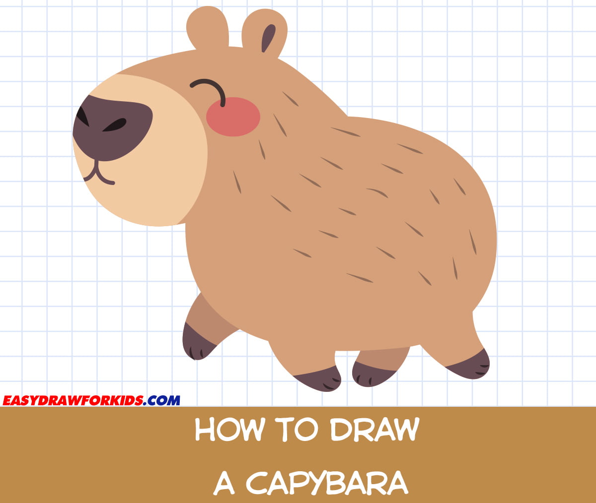 How To Draw A Capybara Easy Draw For Kids