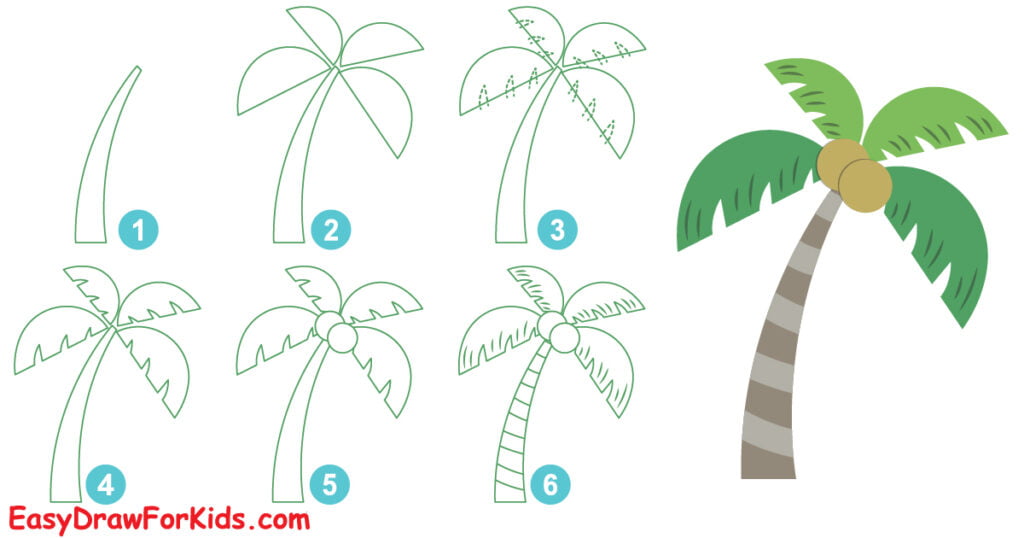 how to draw a coconut palm tree