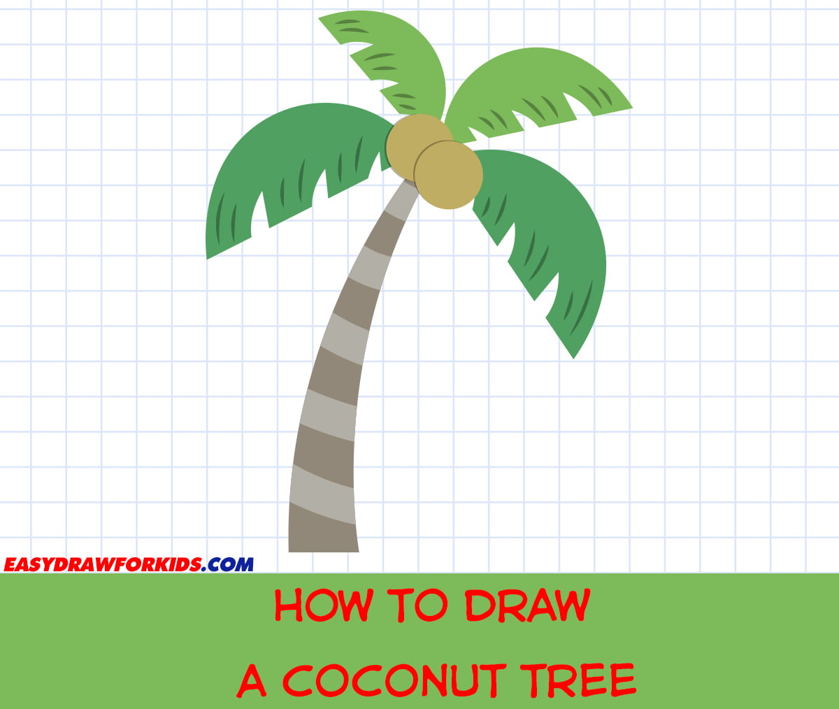 How To Draw A Coconut Tree Easy Draw For Kids