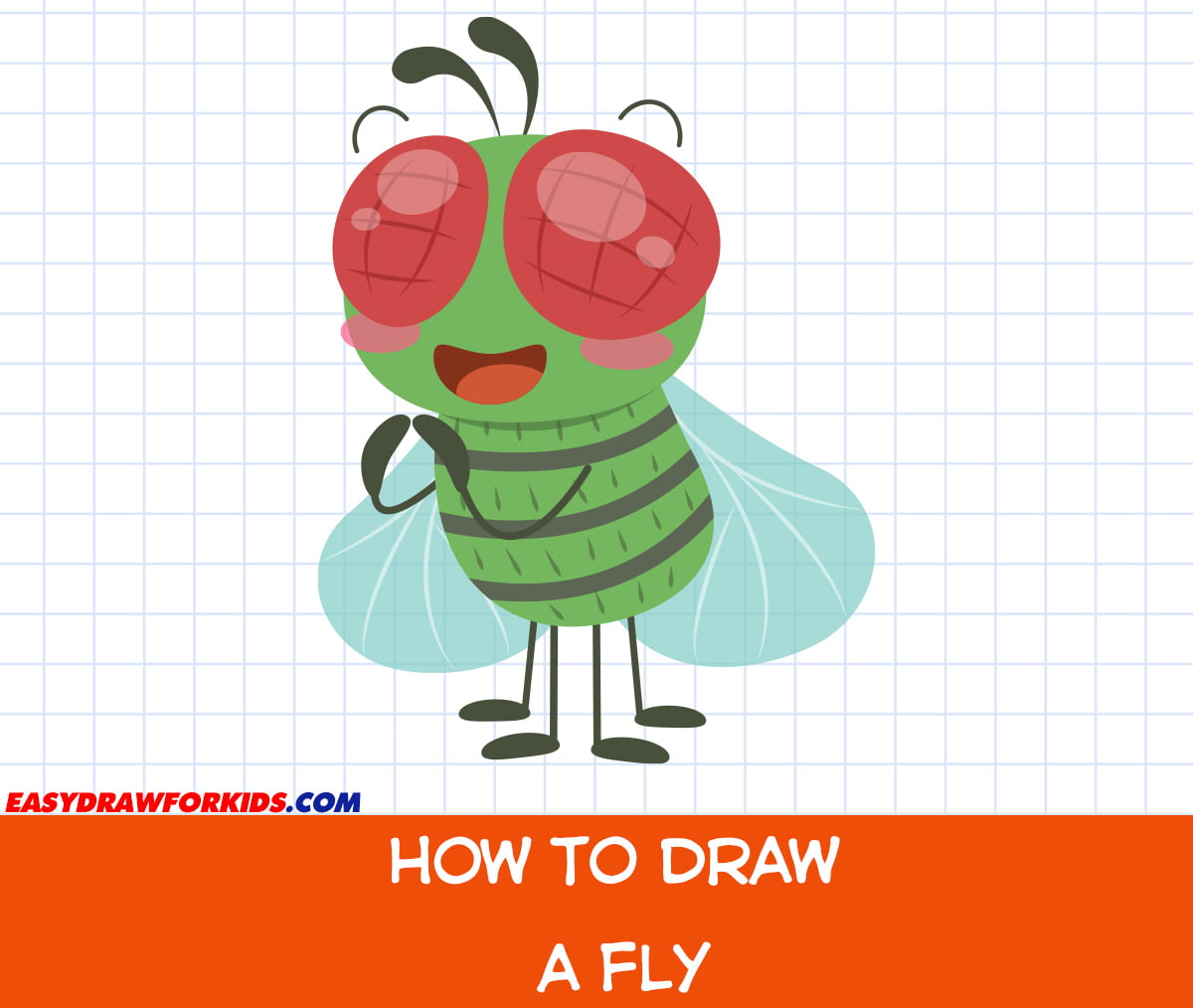 How To Draw A Fly - Easy Draw For Kids