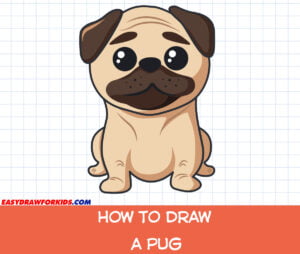 Easy Draw For Kids - Drawing Tutorials For Kids And Beginners