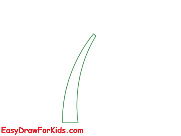 how to draw a simple coconut tree