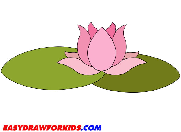 How To Draw A Lotus Flower - Easy Draw For Kids
