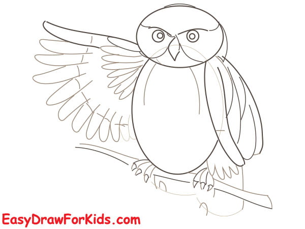 How To Draw An Owl - 7 Ways (With Pictures)