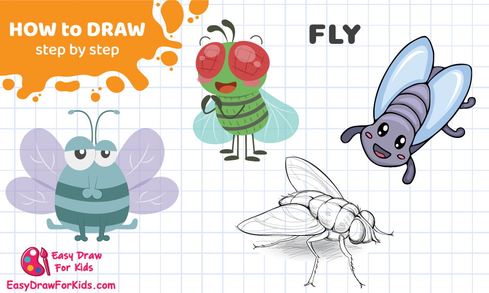 How To Draw A Fly - 4 Ways (With Pictures)