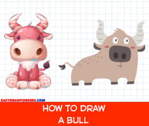 how to draw a bull