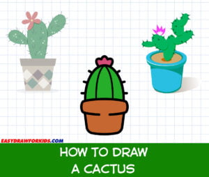 how to draw a cactus
