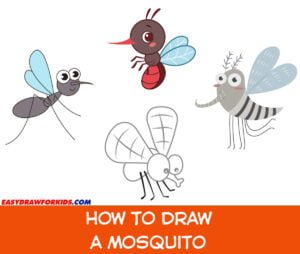 how to draw a mosquito