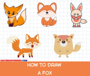 how to draw a fox