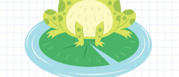 How To Draw A Frog – 8 Ways (With Pictures)