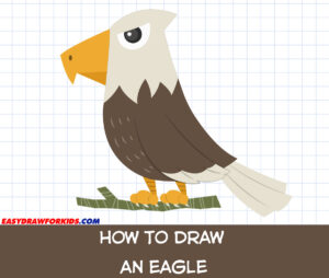 how to draw an eagle