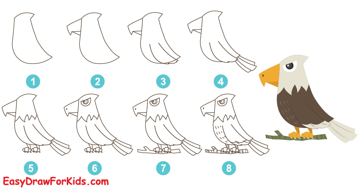 How To Draw An Eagle - 4 Ways (With Pictures)