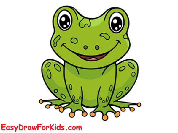 How To Draw A Frog – 8 Ways (With Pictures)