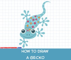 how to draw a gecko