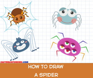 how to draw a spider