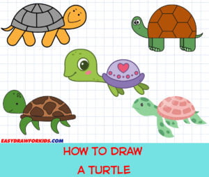 how to draw a turtle